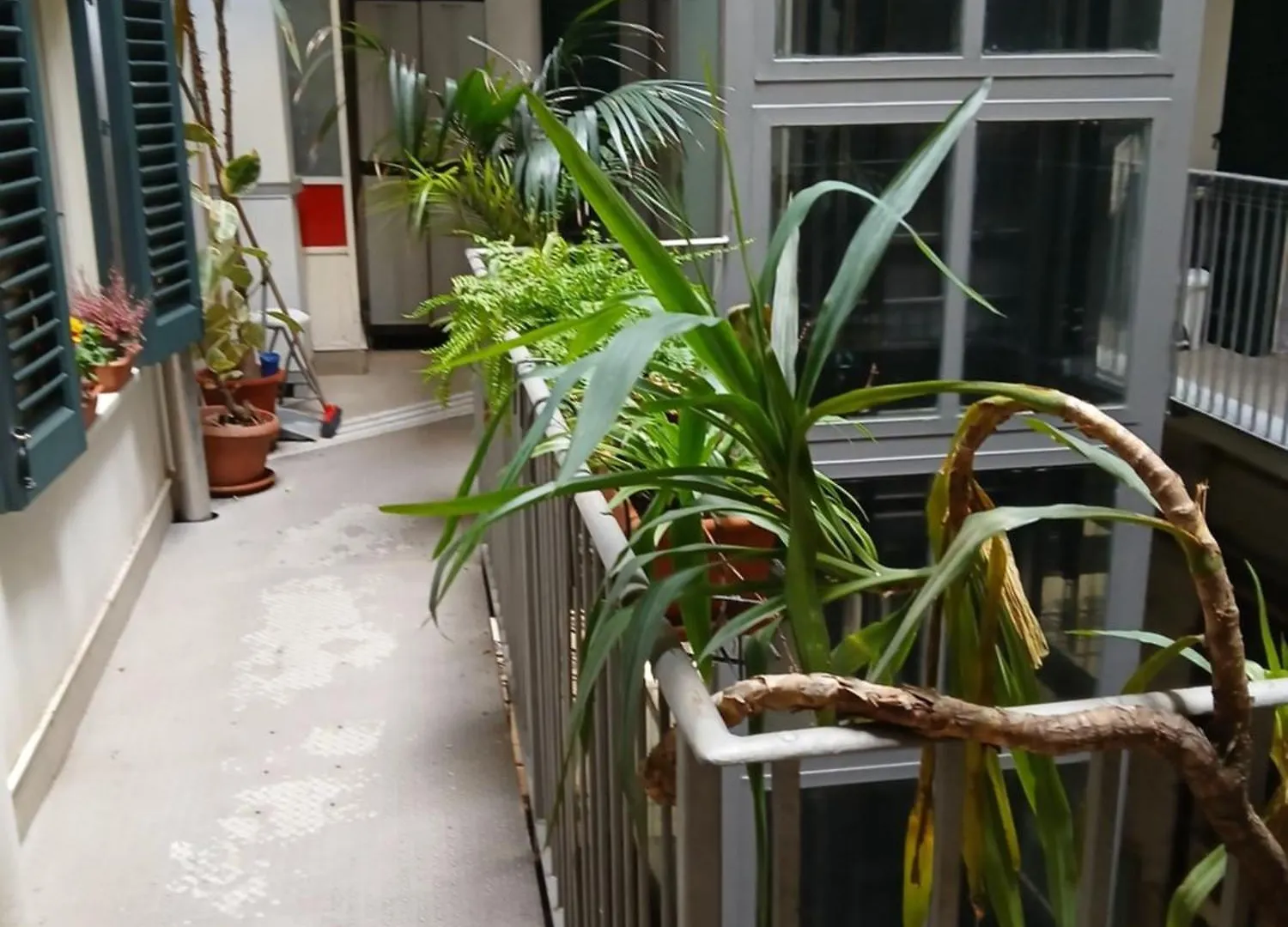 לינה וארוחת בוקר פלרמו B&B Casa Degli Artisti