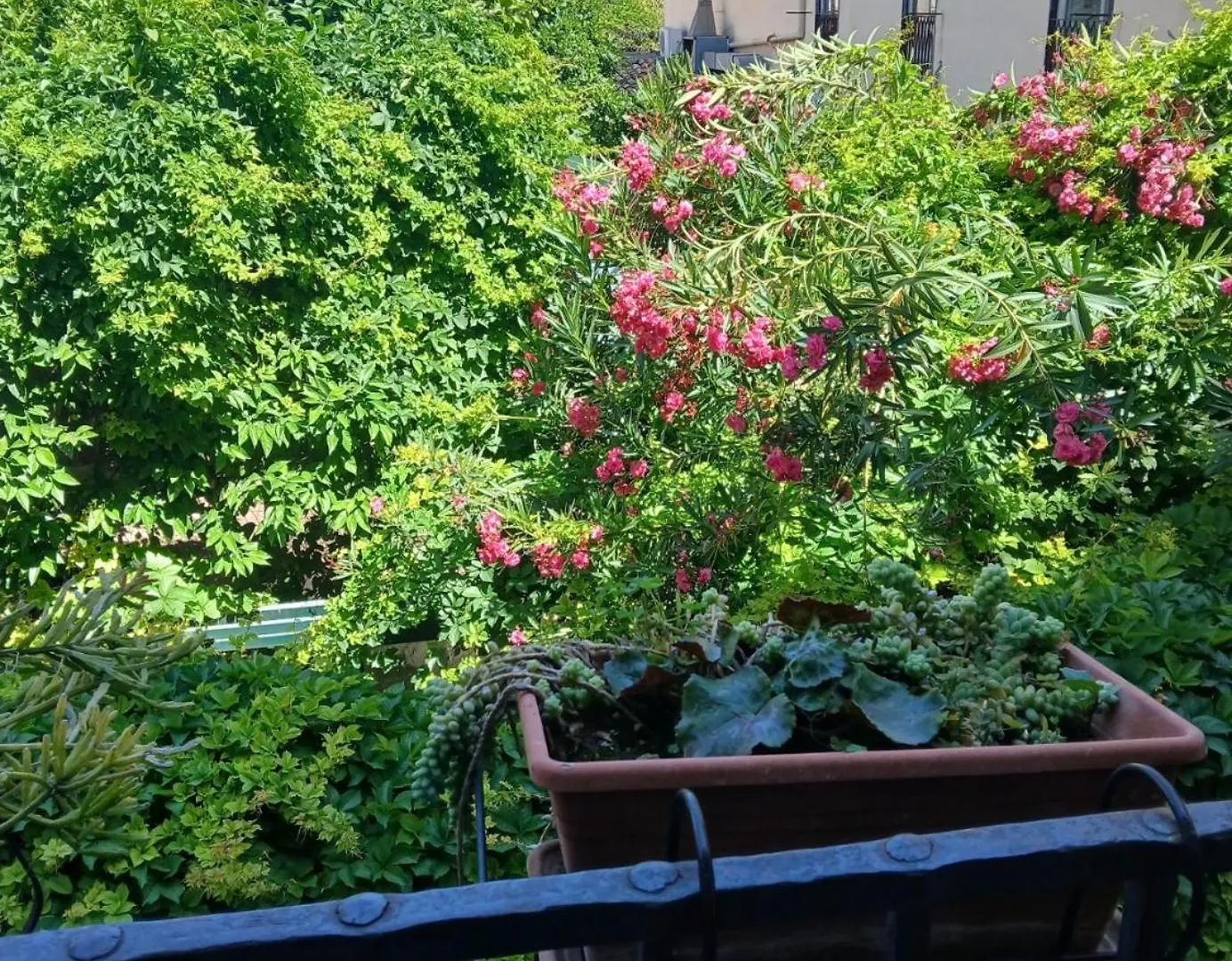 B&B Casa Degli Artisti Palermo Italia
