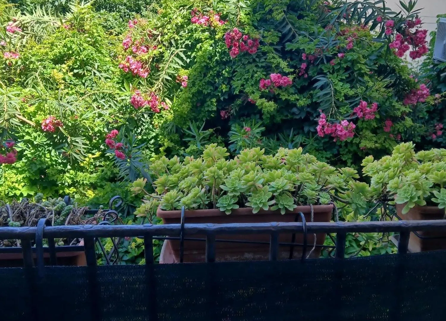 B&B Casa Degli Artisti Palermo Italia